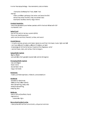 Sensory System Notes - Chapter 8 Notes – Sensory System-PSY 448 Sensory ...