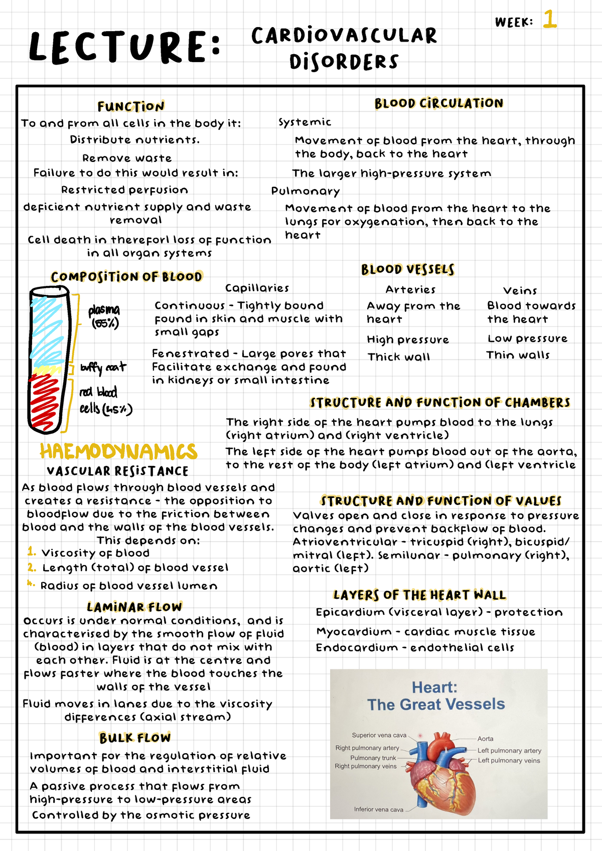 Cardiovascular Disorders Notes - L!