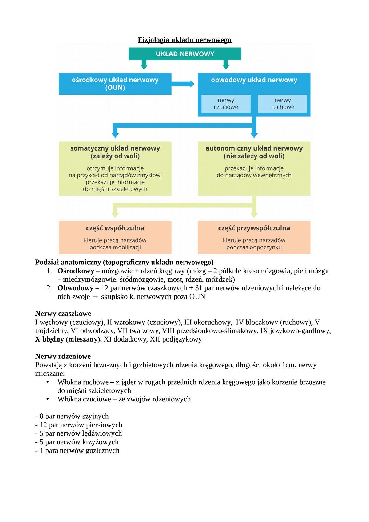 1 Uklad Nerwowy Wyklad 1 Fizjologia Ukladu Nerwowego Podzial Anatomiczny Topograficzny Ukladu Studocu