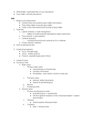 Nervous System Exam Study Guide - Chapters 11, 12, 13: Nervous System ...