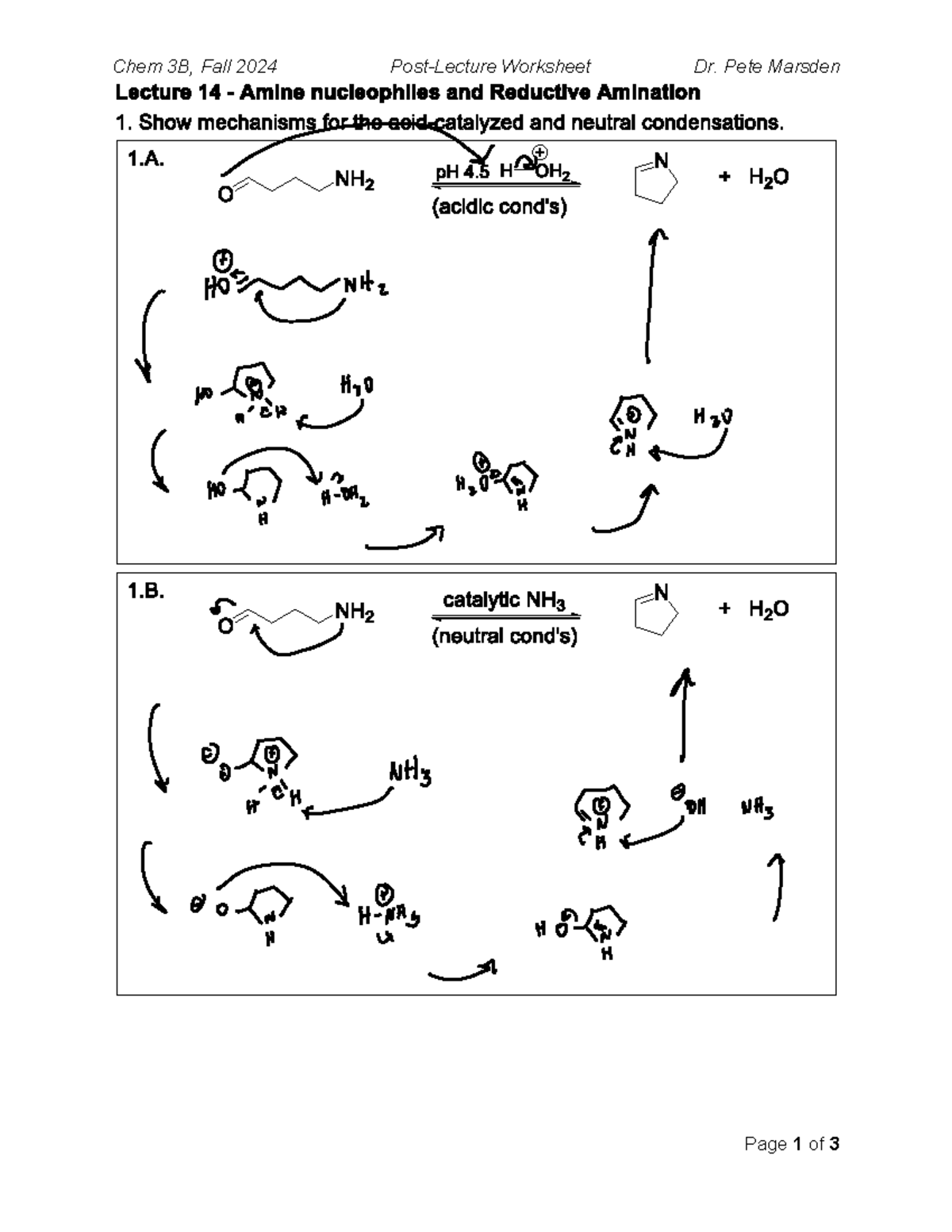 Lecture+14+ +Post Lecture+Worksheet+%28Chem+3B+ +Fall+2024%29 - CHEM 3B ...