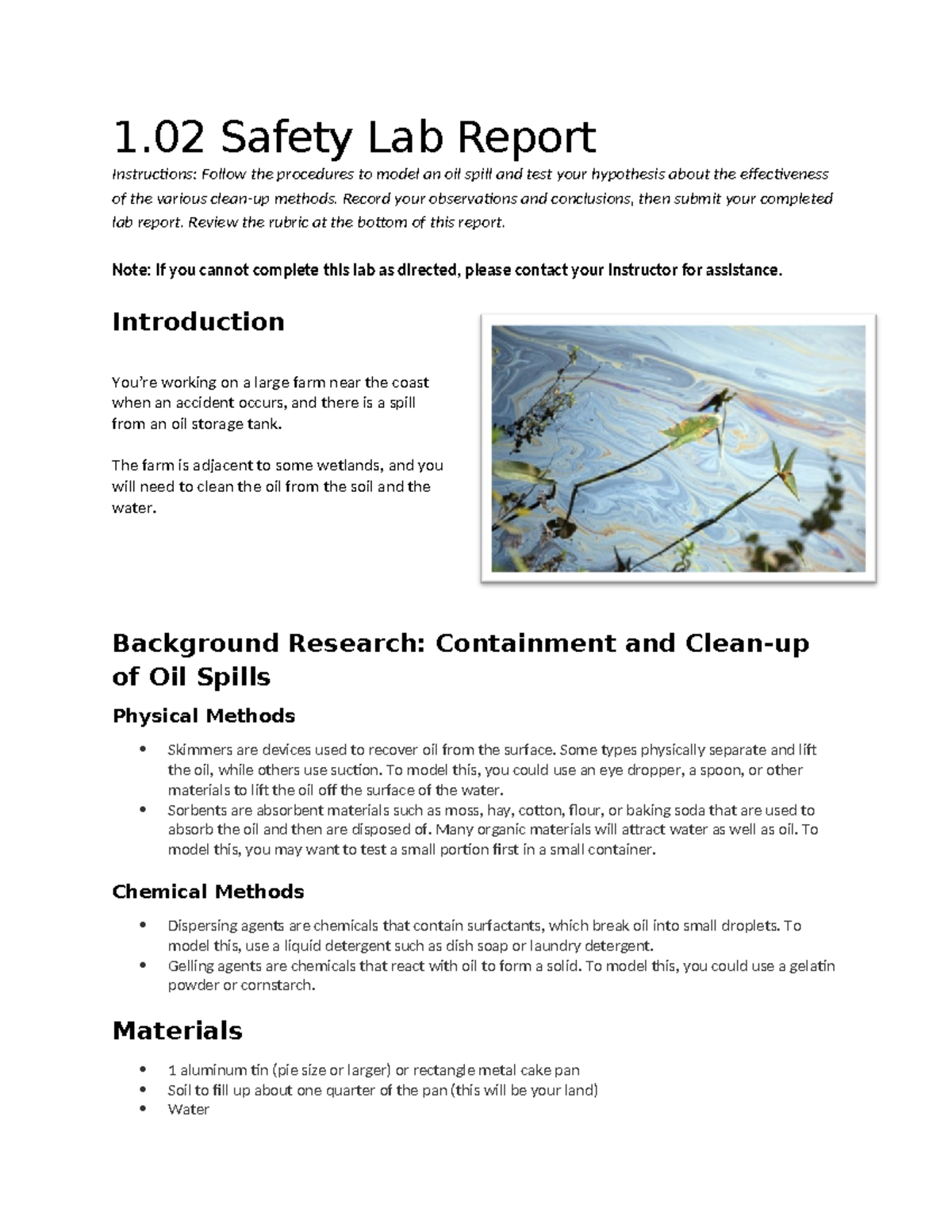 Safety lab worksheet - .fghjft - 1 Safety Lab Report Instructions ...