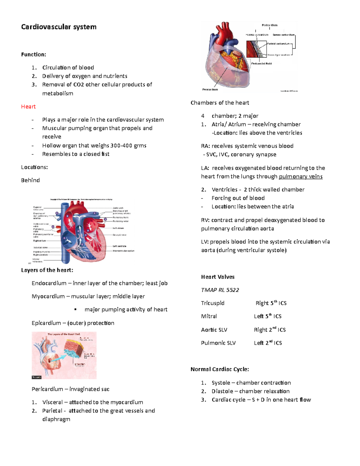 Cardiovascular system - Cardiovascular system Function: Circulation of ...