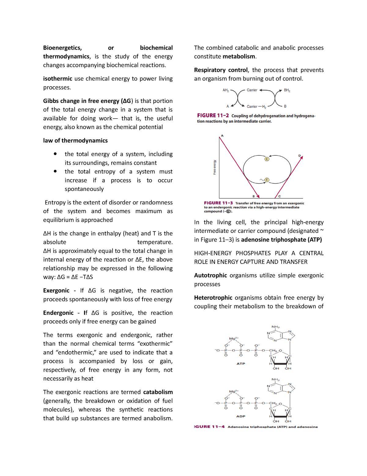 Biochem And Others - Bioenergetics, Or Biochemical Thermodynamics, Is ...