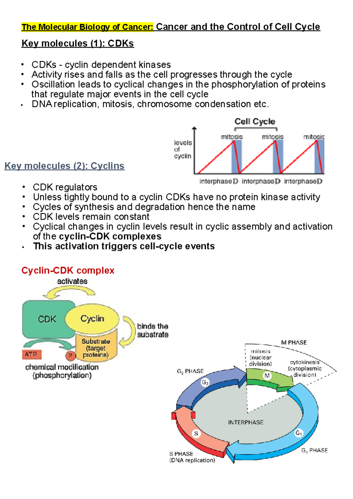 The Molecular Biology of Cancer- Cancer and the Control of Cell Cycle ...