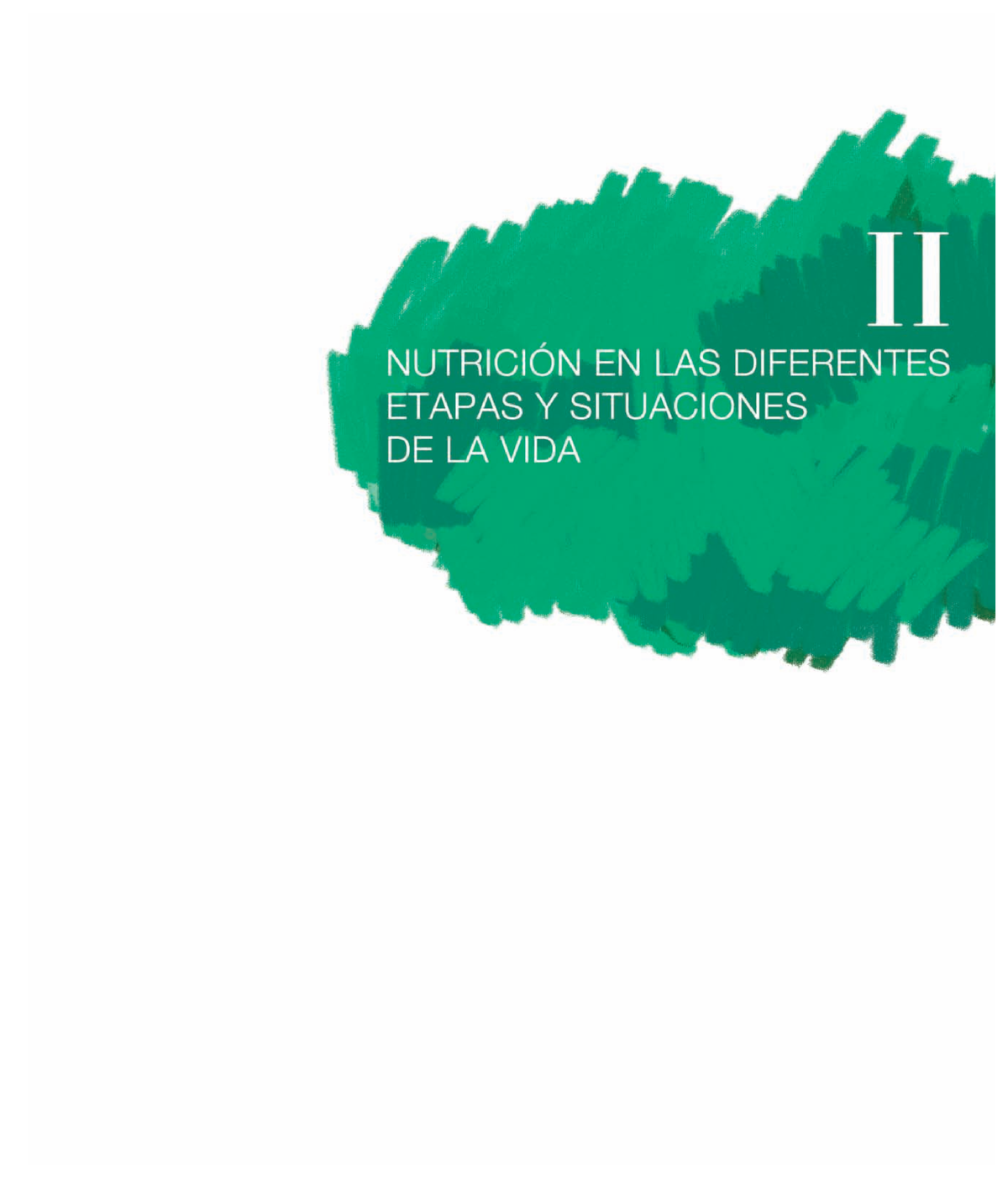 Una homocisteína alta durante la preconcepción afecta a la capacidad  cognitiva del hijo