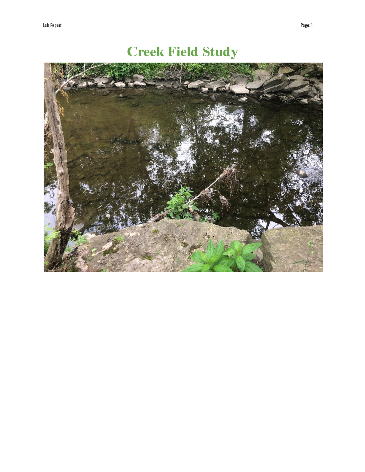 Ecology - Creek Study - Lab Report - Creek Field Study LAB REPORT SECTIONS: 1. Nomenclature 2 ...