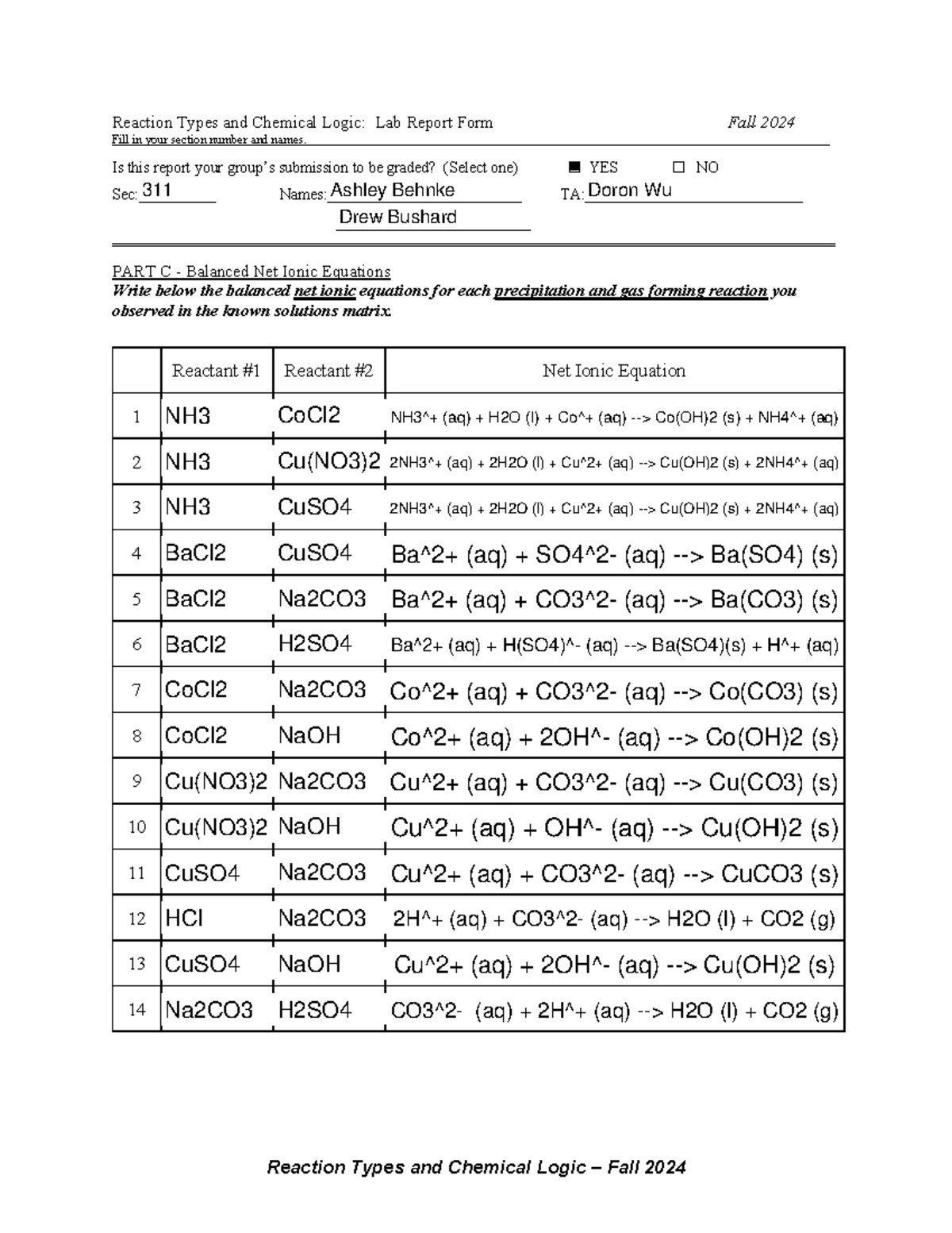 02 Reaction Types and Chemical Logic - Fa24 Report Form - Reaction ...