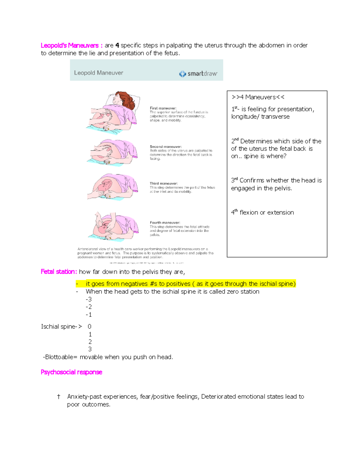 Exam 2 study guidepart 2 - Leopold’s Maneuvers : are 4 specific steps ...