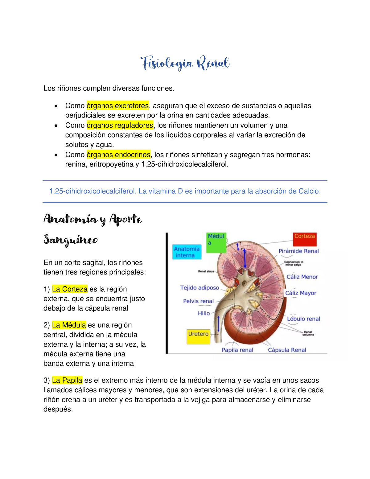 Ultimate Repaso Fisiolog A T Segundo Parcial Fisio Renal