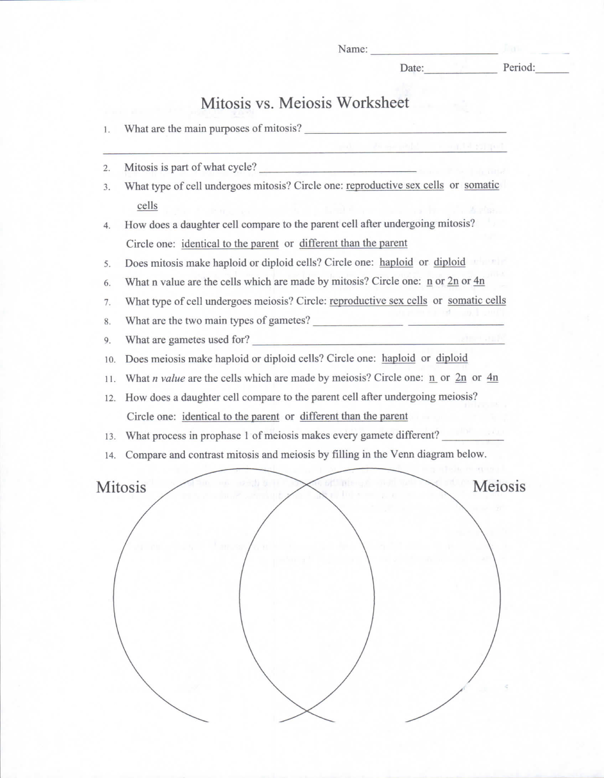 Mitosis vs meiosis wkst packet - BSC 2010 - Studocu