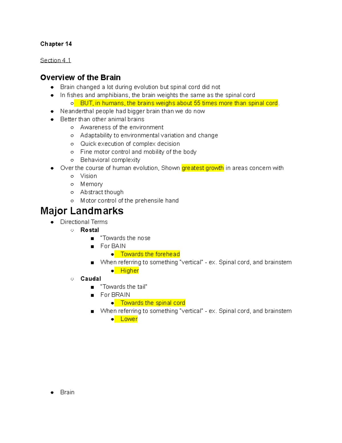 Chapter 14 Outline - Chapter 14 Section 4 Overview of the Brain Brain ...