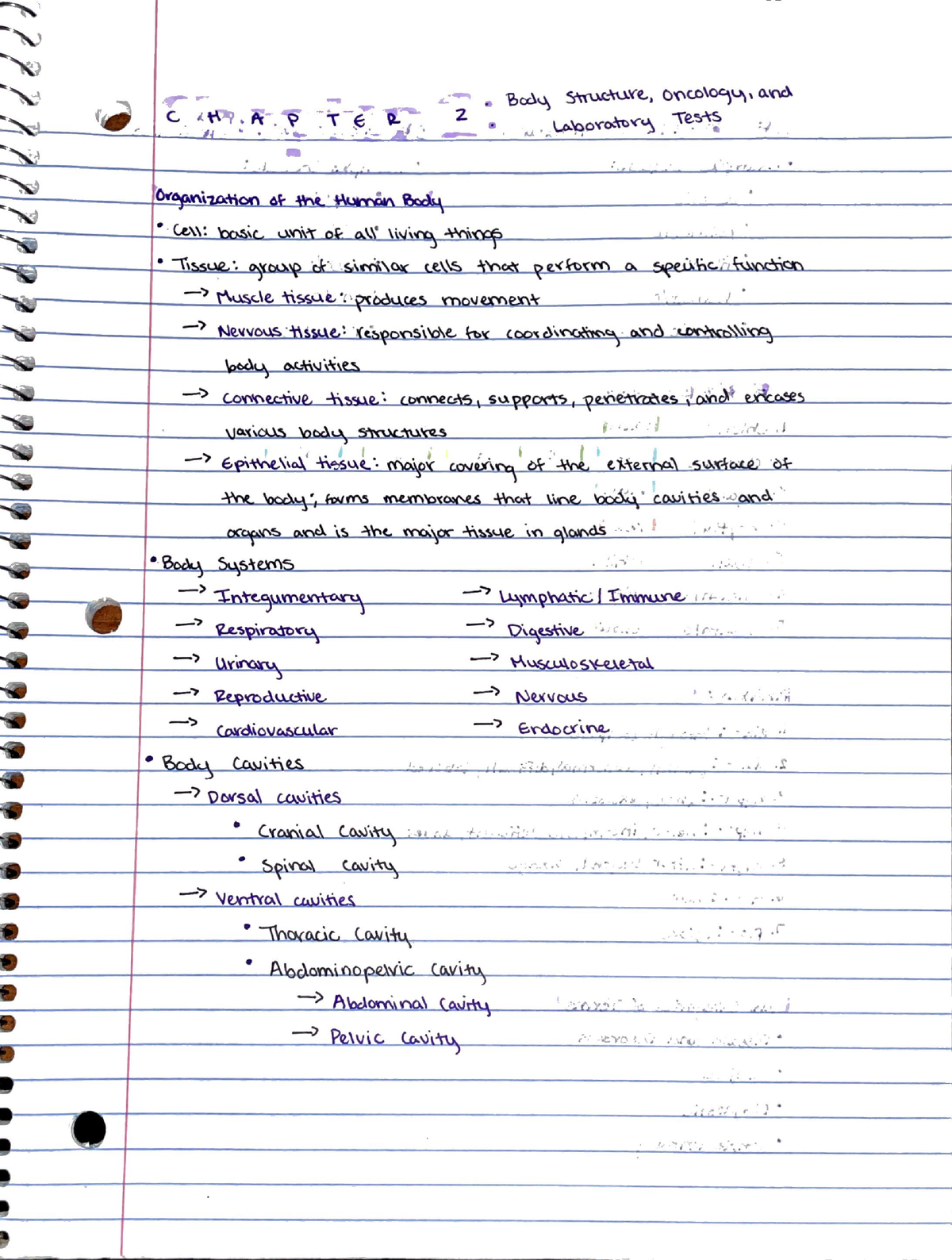 Chapter 2- Body Structure, Oncology, and Laboratory Tests - HSC 3531HB ...