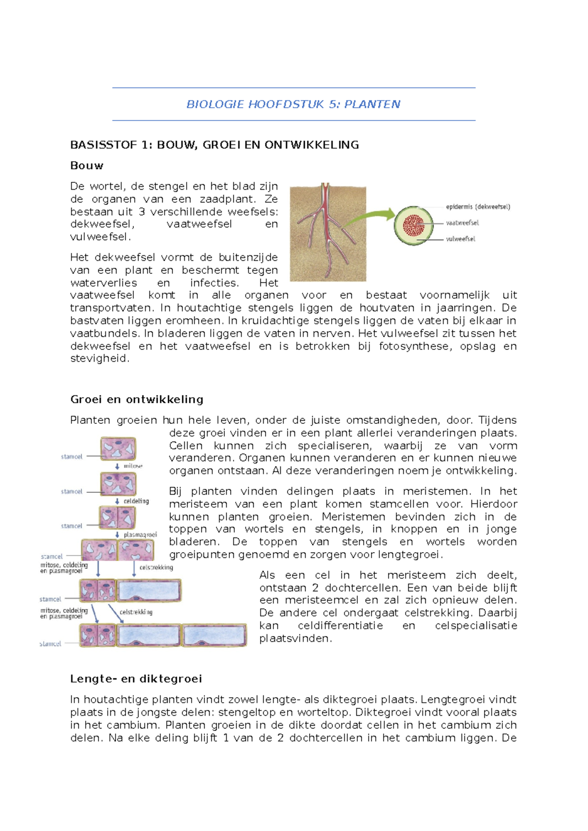 Biologie Hoofdstuk 5 - BIOLOGIE HOOFDSTUK 5: PLANTEN BASISSTOF 1: BOUW ...