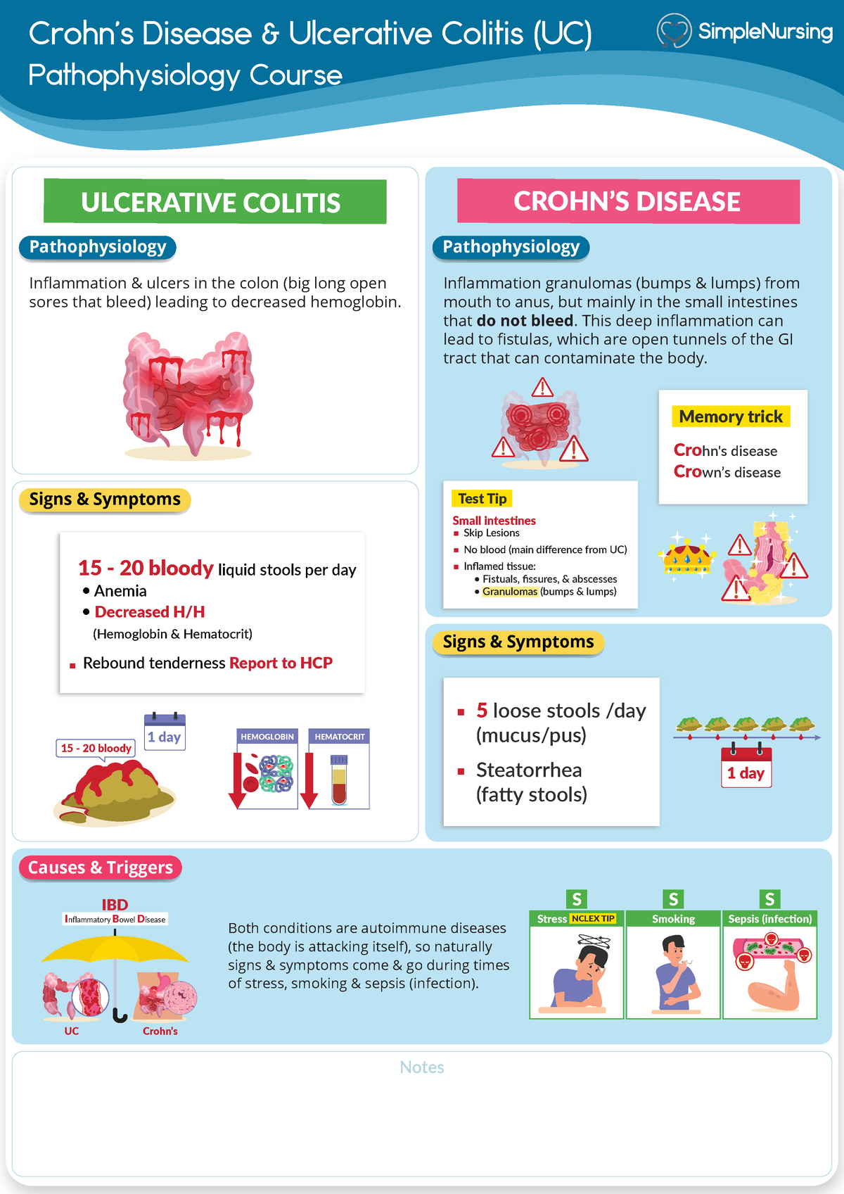 Patho - GI - Crohn s UC 1 - Patho, Signs Causes - 230 - ECPI University ...