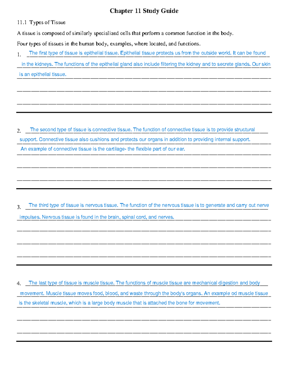 Chapter+11+Study+Guide( edited) - Chapter 11 Study Guide 11 Types of ...
