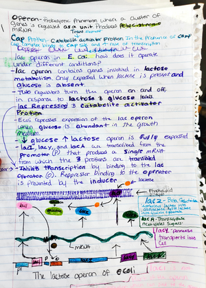 [Solved] What are the focal species of this paper 2 marks - Genetics ...