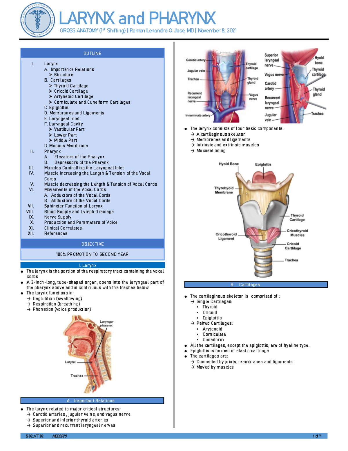 Gross anatomy Larynx S 02 // T 02 MED2025 1 of 7 OUTLINE I. Larynx A. Importance Relations