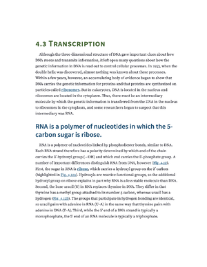 BIOA01 Evolution Practice Questions - BIOA01 – Life on Earth: Unifying ...