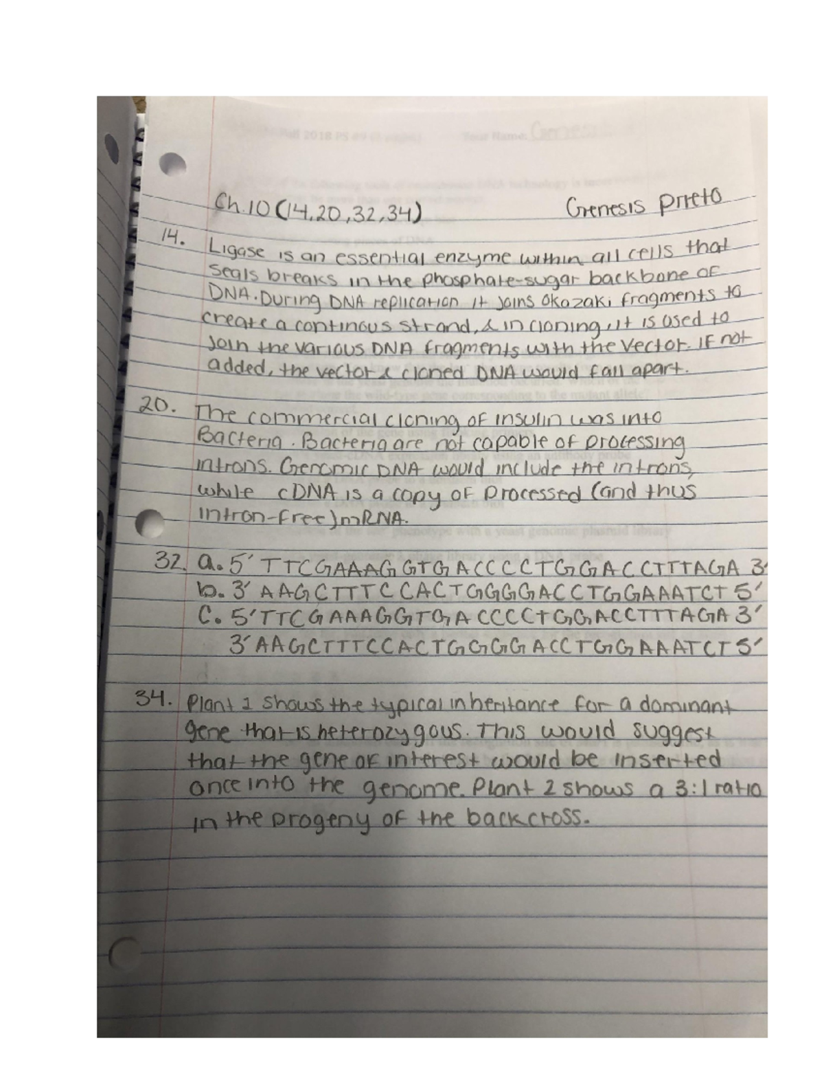 Genetics Homework November 22, 2019 - BIO 220 - Studocu