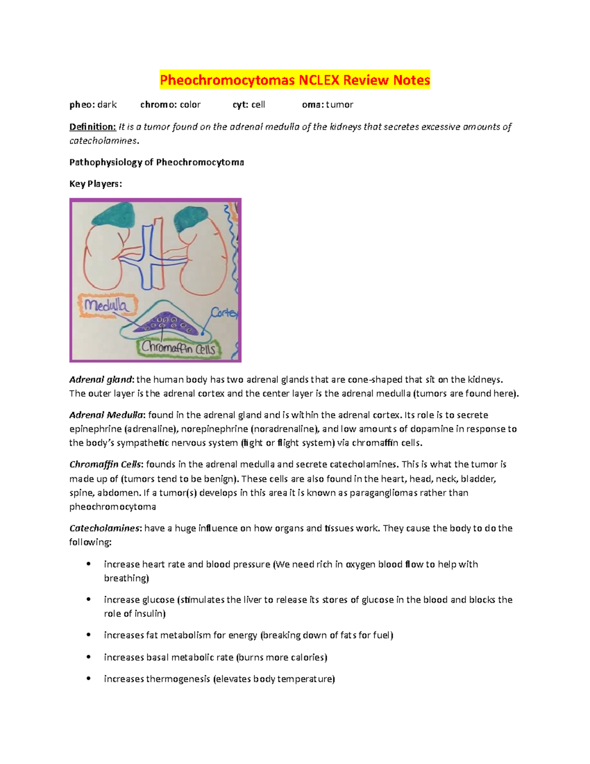 Pheochromocytomas Nclex Review Notes Pheochromocytomas Nclex Review Notes Pheo Studocu