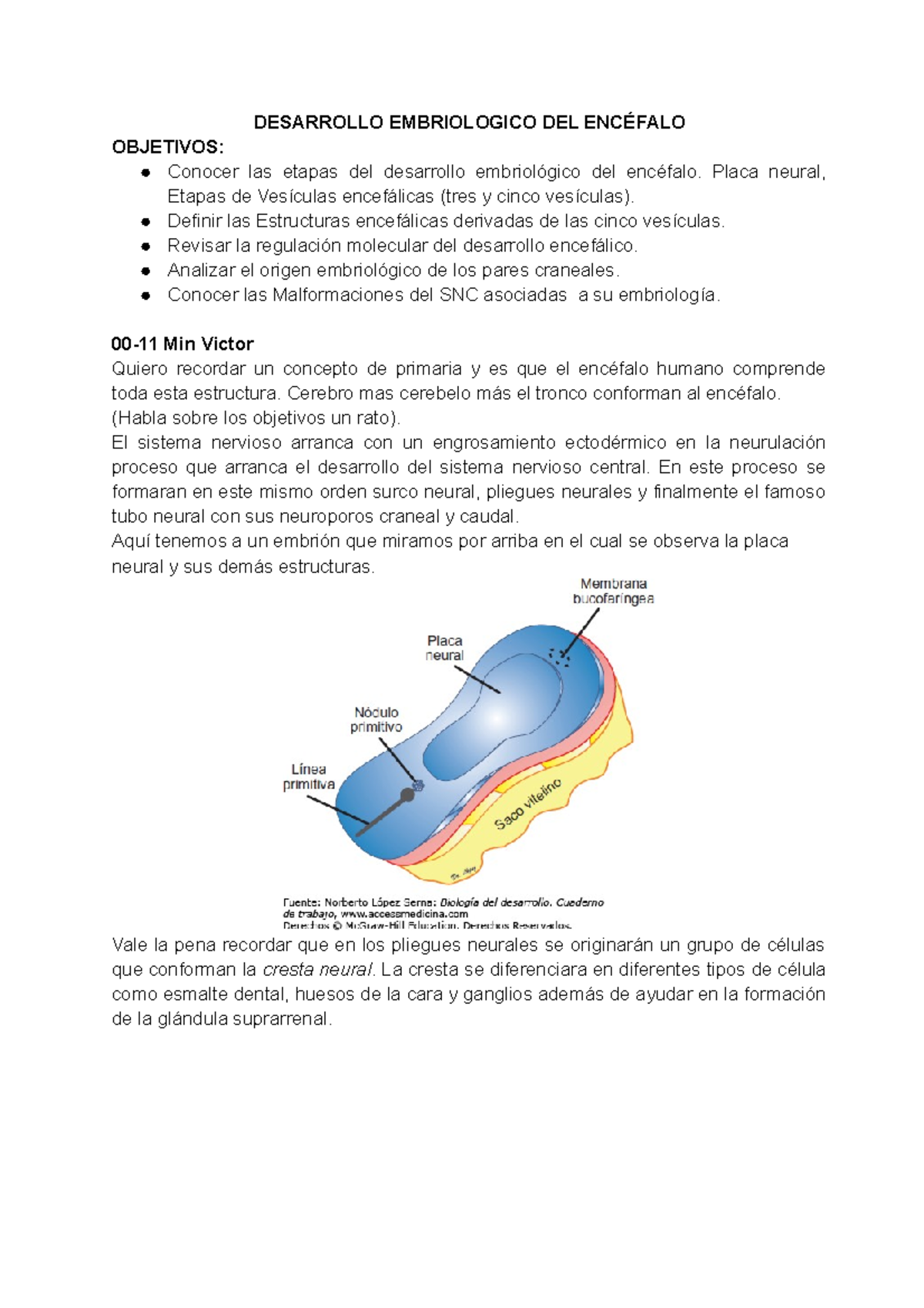 Desarrollo Embriologico Del Encefalo Sistema Nervioso Uninorte Studocu<script async src=