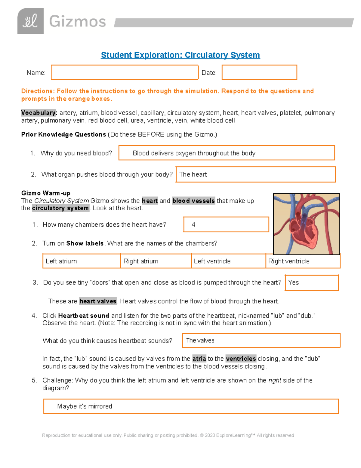 circulatory-system-gizmo-student-exploration-circulatory-system-name-date-directions