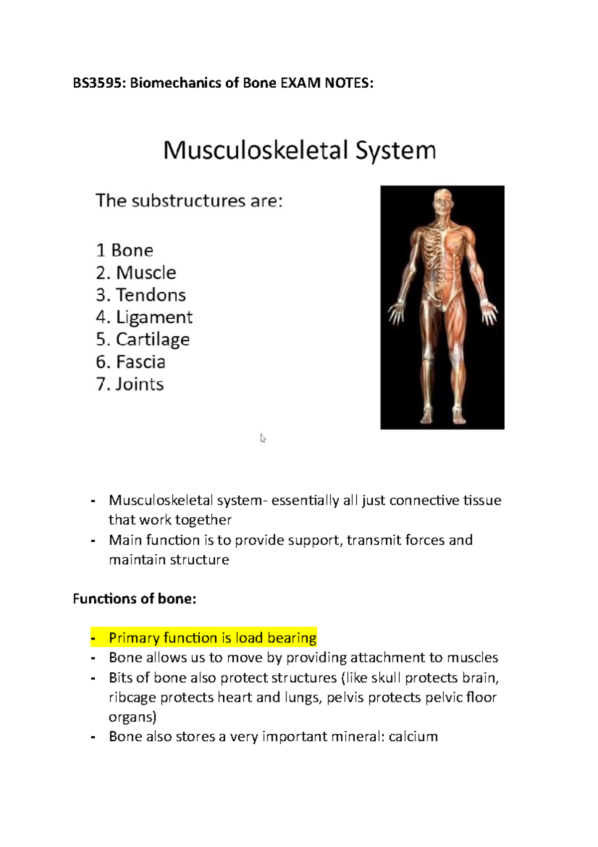 Biomechanics of Bone - 1kg of calcium - Bone is full of marrow- where ...