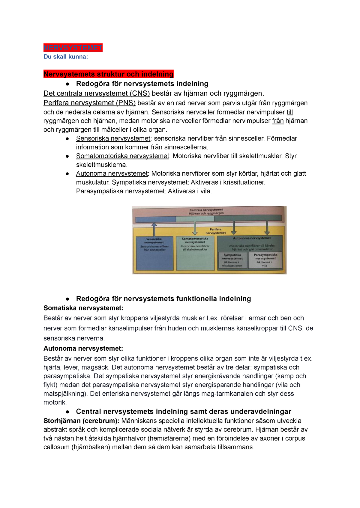 Målbeskrivning Anatomi Och Fysiologi - Nervsystemet - NERVSYSTEMET Du Skall Kunna: Nervsystemets ...