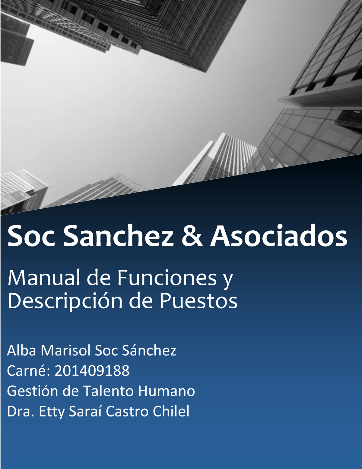 Manual De Puestos - TÕTULO PORTADA Soc Sanchez & Asociados Manual De ...