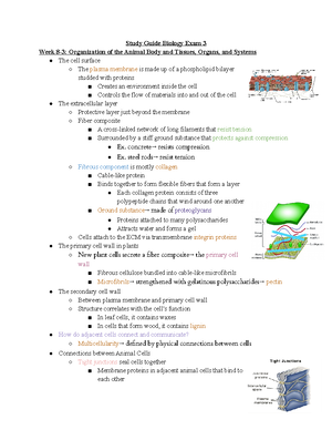 Chapter 3 Protein Structure and Function - Experimentsconfirm that ...