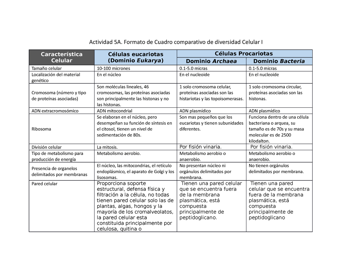 Cuadro Comparativo A5 A5 Blackboard Foro De Trabajo N