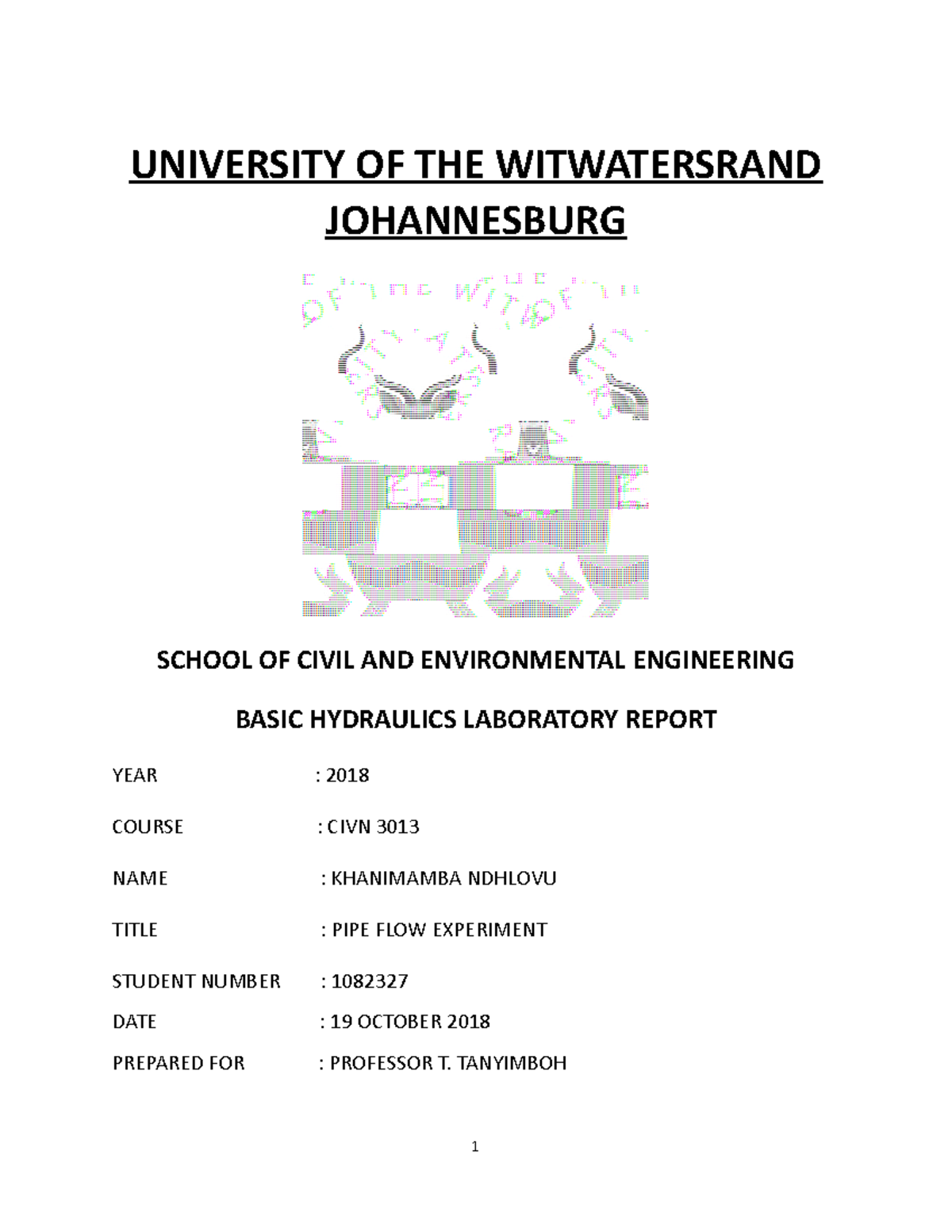 LAB 2 Hydraulics UNIVERSITY OF THE WITWATERSRAND JOHANNESBURG SCHOOL