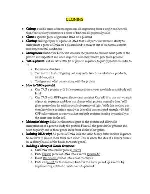 M1 Study Guide - Lecture notes for midterm 1. - DNA STRUCTURE Nucleic ...