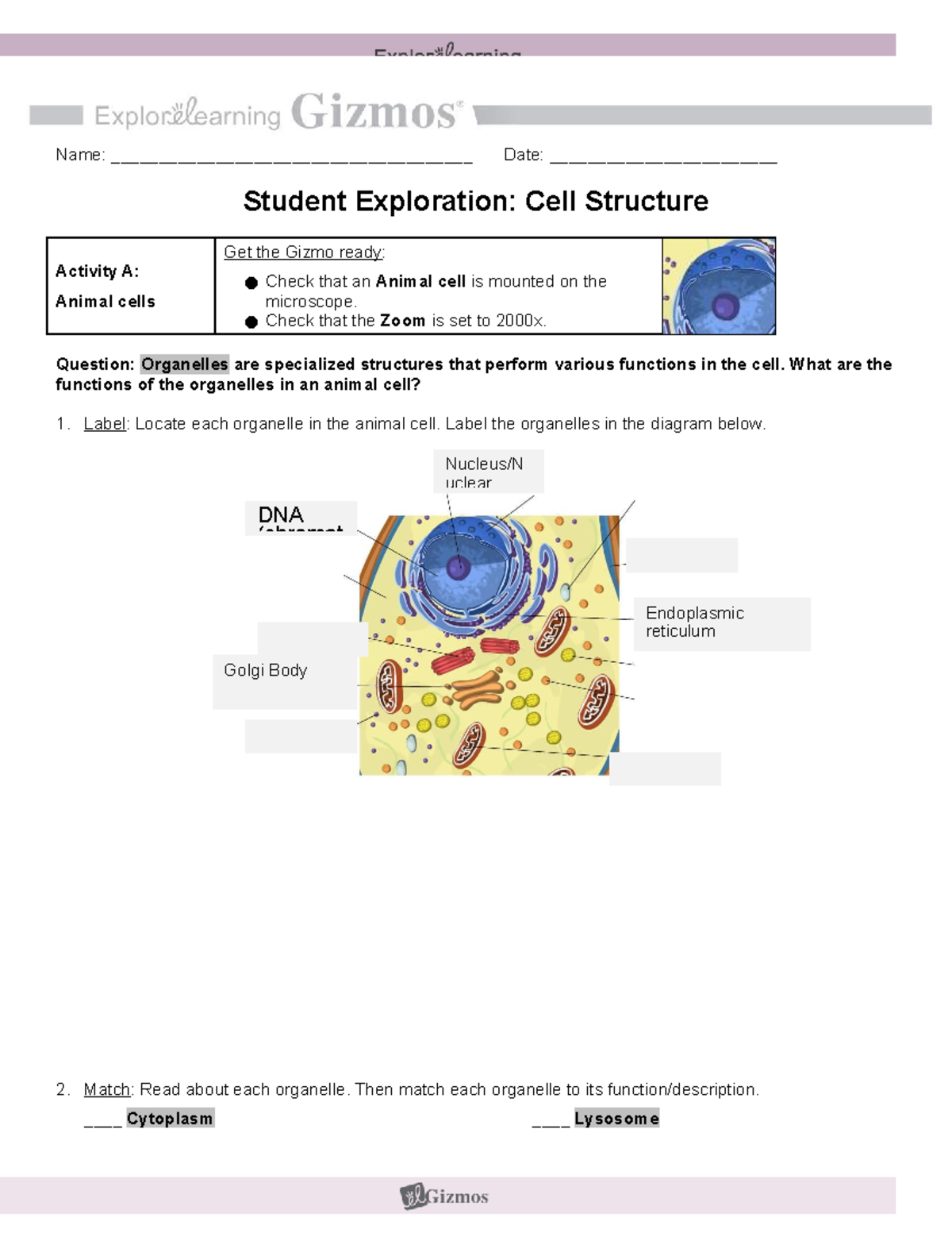 Copy Of Copy Of Cell Structure Gizmo - Name ...