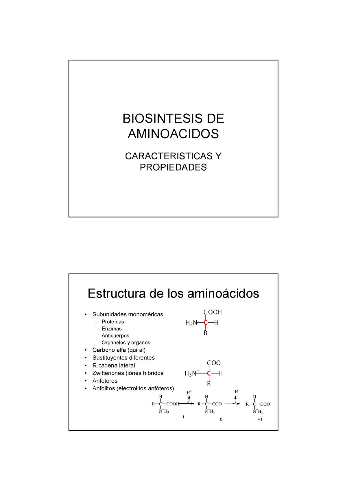 Biosintesis De Aminoacidos Biosintesis De Aminoacidos Caracteristicas Y Propiedades Estructura 