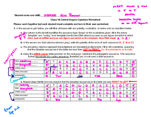 Class+24+Worksheet+S24 - Name: uNID Biol 1610 Class 2 4 Worksheet ...