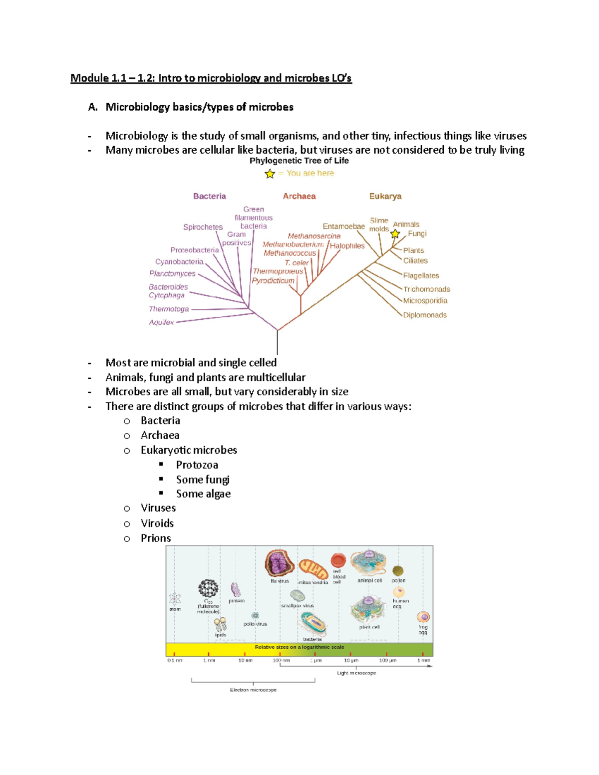 Module 1 LO - Module 1 – 1: Intro To Microbiology And Microbes LO’s A ...