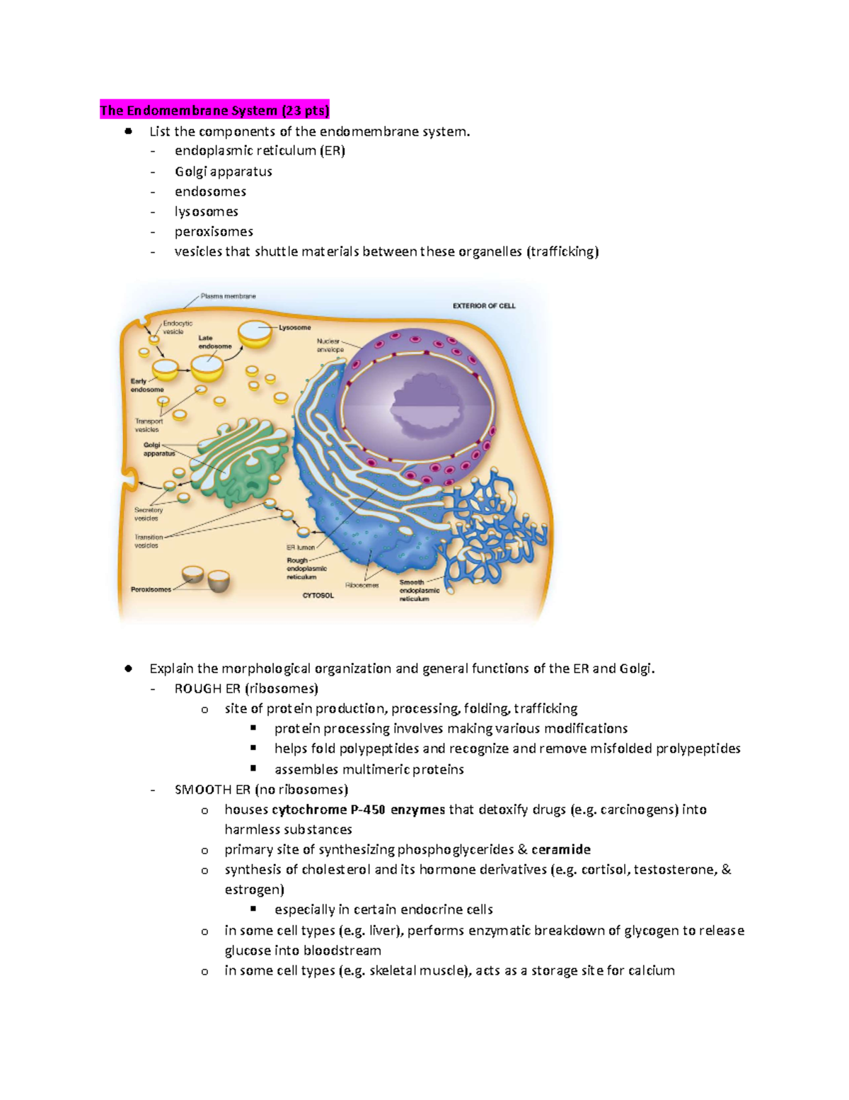 Cell bio exam 1 review sheet-22-34 - The Endomembrane System (23 pts ...