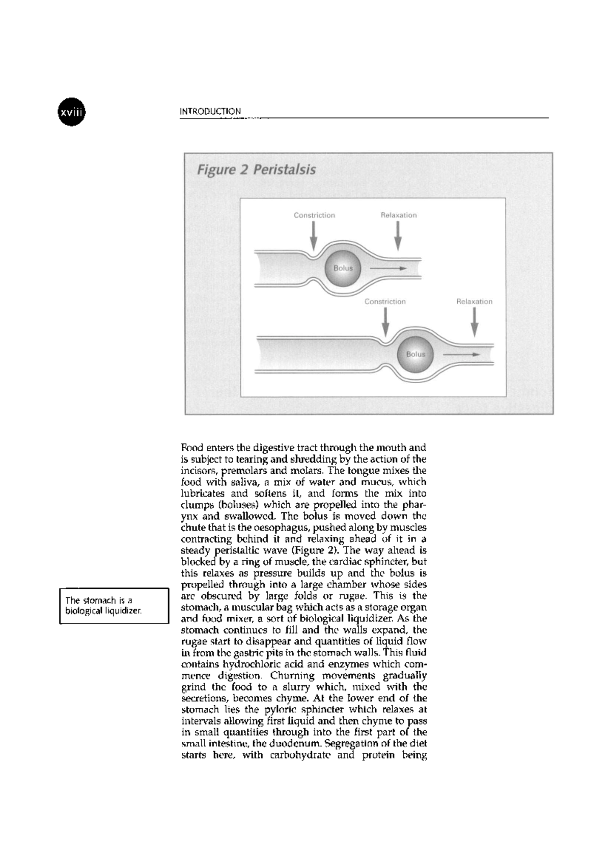 Animal visual data 4