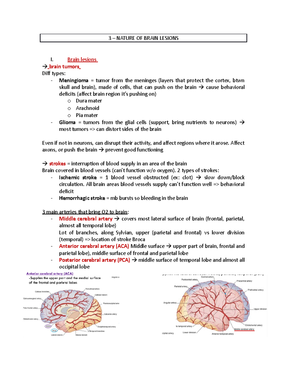 3 nature of brain lesions - 3 – NATURE OF BRAIN LESIONS I. Brain ...