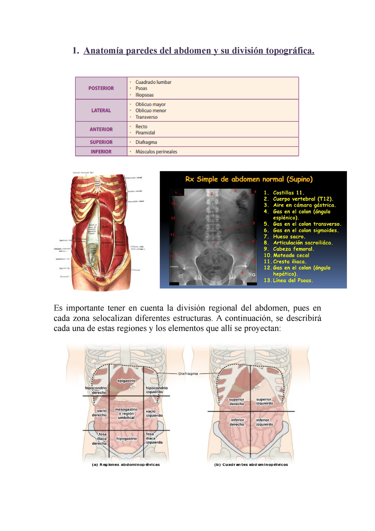 ANATOMIA RADIOLOGICA PARA EL DIAGNOSTICO‚ Torax‚ Abdomen y Pelvis