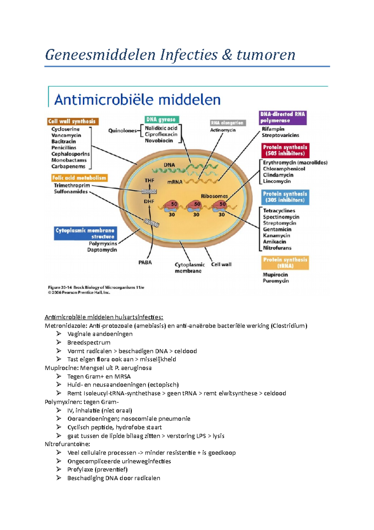 Geneesmiddelen Lijst - Geneesmiddelen Infecties Tumoren Middelen ...