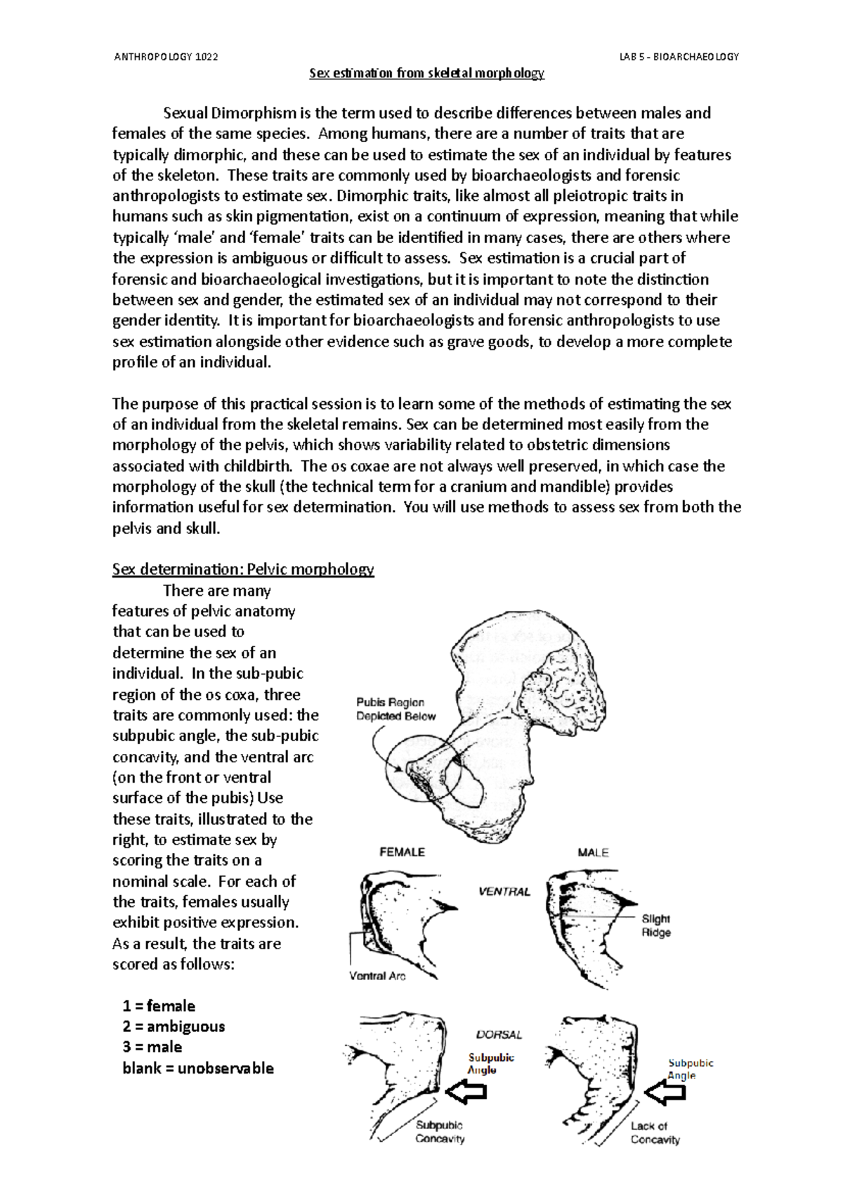 1022 Lab 5 Bioarchaeology Anthropology 1022 Lab 5 Bioarchaeology