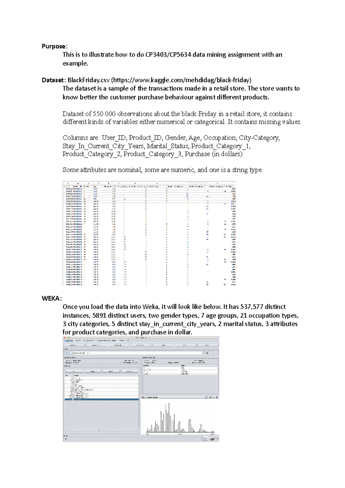 Assignment Illustration with an example dataset - Purpose: This is to ...