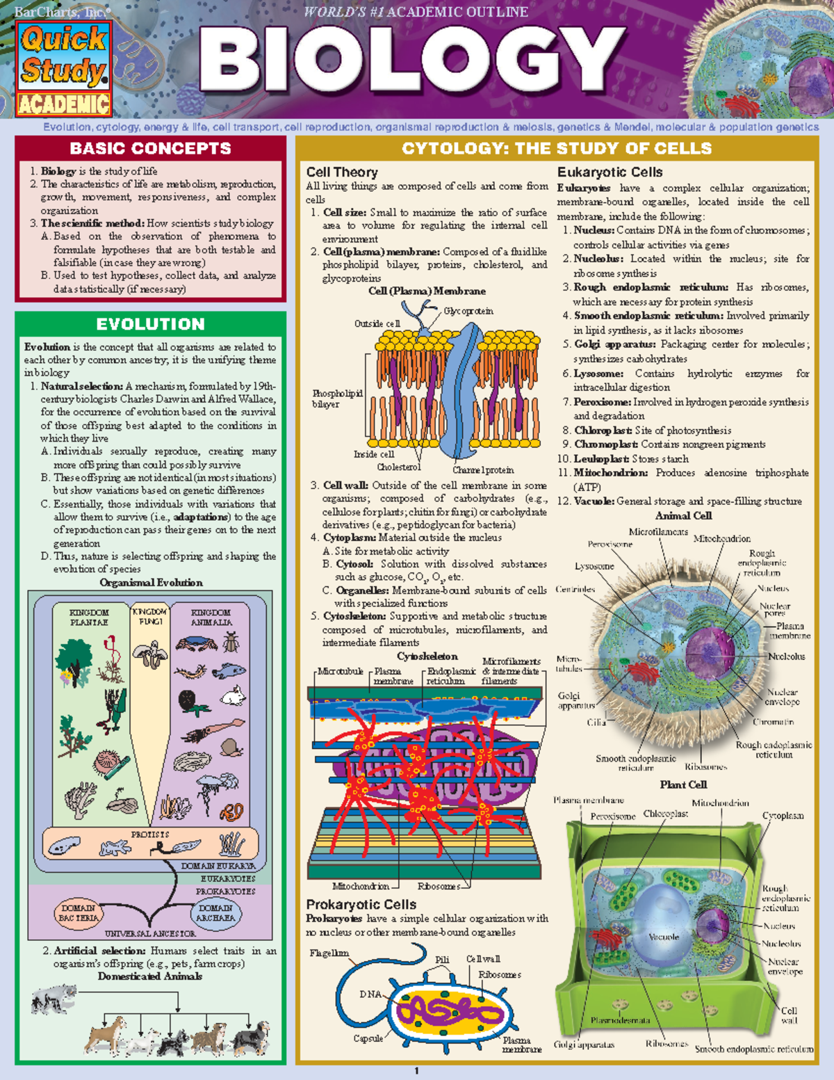 Biology (Bar Charts, Inc.) (Z-Library) - Basic concePts Evolution ...