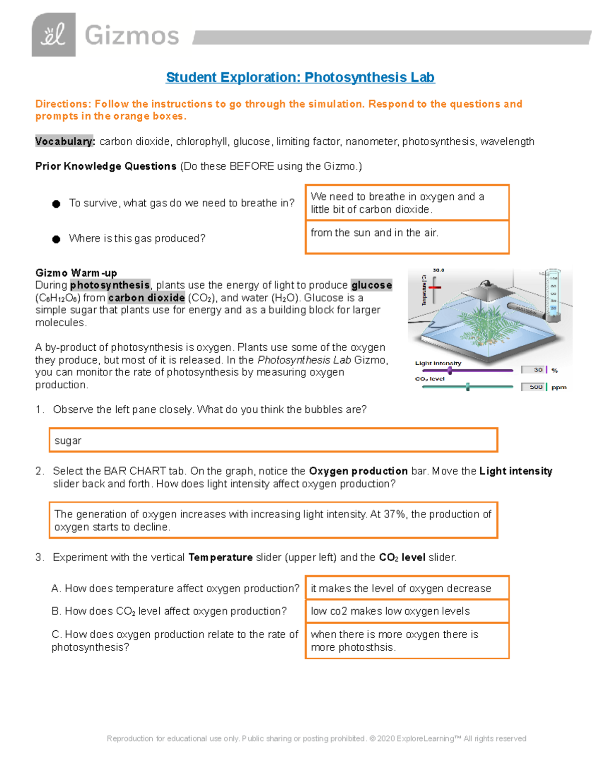 Photosynthesis Lab student version Student Exploration