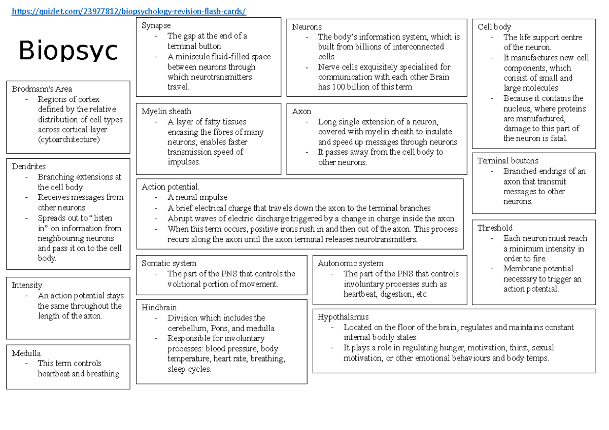 Quizlet biopsych revision 1 Threshold Each neuron must reach a minimum intensity in order to