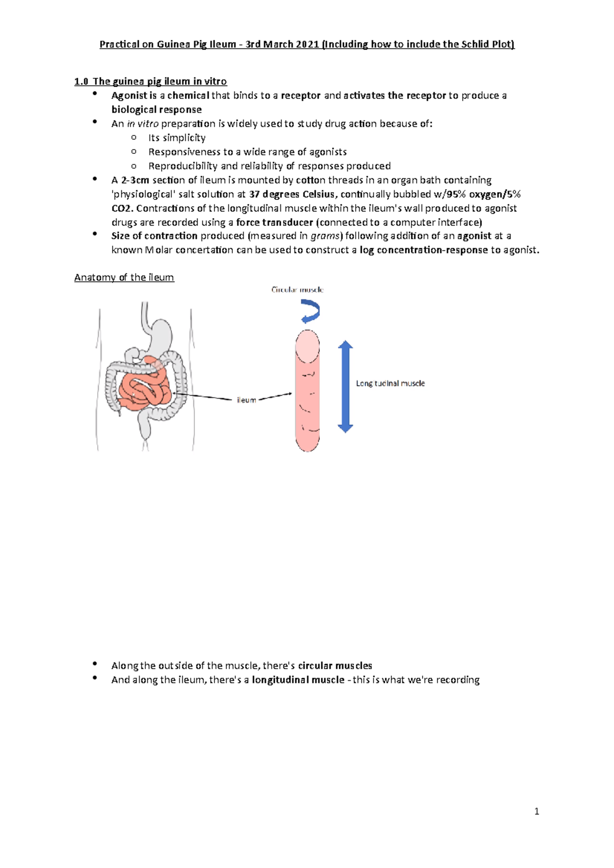 guinea pig ileum experiment lab report