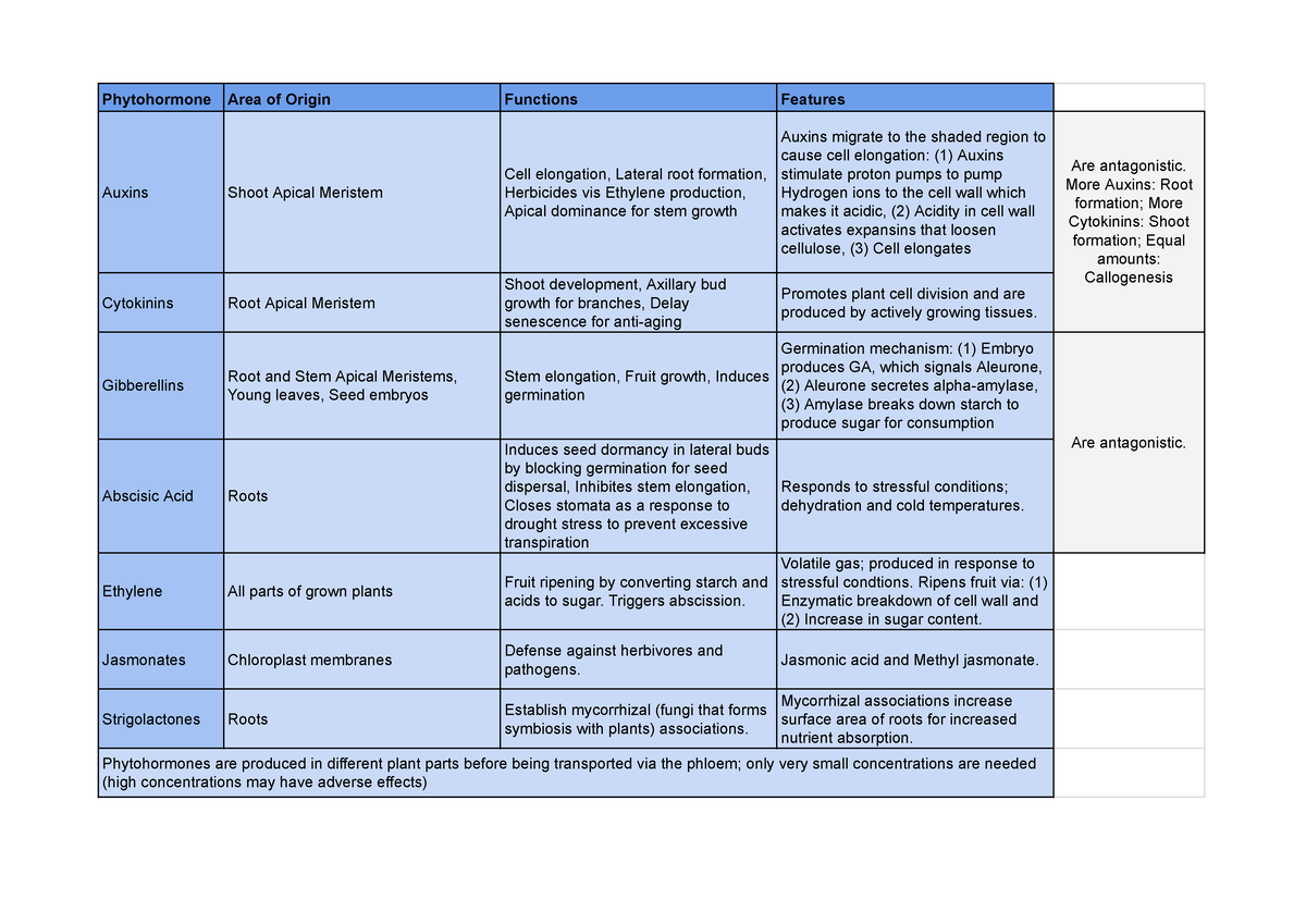 3.1 Plant Hormones - Phytohormone Area of Origin Functions Features ...